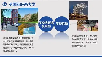 斯旺西遗憾失利,拉德格里克反思战术 斯旺西遗憾失利,拉德格里克反思战术