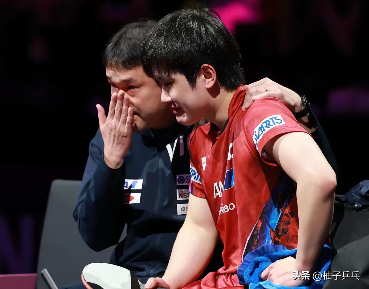 包含日本队完胜法国队,张本智和状态火热的词条 包含日本队完胜法国队,张本智和状态火热的词条